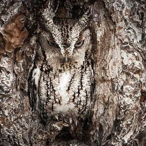 Meet your Posher, Natalia